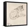 Arctic Dog, Facing Right (Pencil on Paper)-James Ward-Framed Stretched Canvas