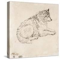 Arctic Dog, Facing Right (Pencil on Paper)-James Ward-Stretched Canvas