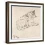 Arctic Dog, Facing Right (Pencil on Paper)-James Ward-Framed Giclee Print