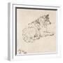 Arctic Dog, Facing Right (Pencil on Paper)-James Ward-Framed Giclee Print