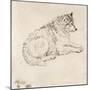 Arctic Dog, Facing Right (Pencil on Paper)-James Ward-Mounted Giclee Print