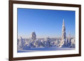 Arctic Forest in Winter-1photo-Framed Photographic Print