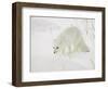 Arctic Fox (Alopex Lagopus) in Snow, Churchill, Manitoba, Canada, North America-James Hager-Framed Photographic Print