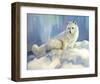 Arctic Fox at Twilight-Joni Johnson-Godsy-Framed Giclee Print
