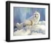 Arctic Fox at Twilight-Joni Johnson-Godsy-Framed Giclee Print