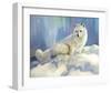 Arctic Fox at Twilight-Joni Johnson-Godsy-Framed Giclee Print