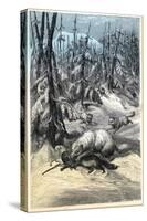 Arctic Fox Attacking Trapped Sable, 1874-null-Stretched Canvas