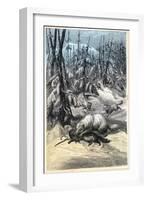 Arctic Fox Attacking Trapped Sable, 1874-null-Framed Giclee Print