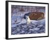 Arctic Fox, Churchill, Manitoba, Canada-Art Wolfe-Framed Photographic Print