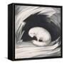 Arctic Fox, from Narrative of a Second Voyage in Search of a North-West Passage-Sir John Ross-Framed Stretched Canvas