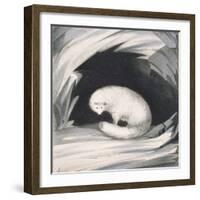 Arctic Fox, from Narrative of a Second Voyage in Search of a North-West Passage-Sir John Ross-Framed Giclee Print