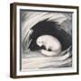 Arctic Fox, from Narrative of a Second Voyage in Search of a North-West Passage-Sir John Ross-Framed Giclee Print