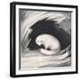 Arctic Fox, from Narrative of a Second Voyage in Search of a North-West Passage-Sir John Ross-Framed Giclee Print