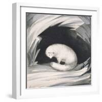 Arctic Fox, from Narrative of a Second Voyage in Search of a North-West Passage-Sir John Ross-Framed Giclee Print