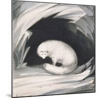 Arctic Fox, from Narrative of a Second Voyage in Search of a North-West Passage-Sir John Ross-Mounted Giclee Print