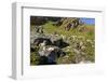 Arctic Fox Kits, Svalbard, Norway-Paul Souders-Framed Photographic Print