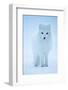 Arctic Fox portrait in winter coat, Svalbard, Norway-Danny Green-Framed Photographic Print