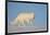 Arctic fox running across snow, Siberia, Russia-Valeriy Maleev-Framed Photographic Print