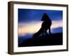 Arctic Fox (Vulpes Lagopus) Silhouetted at Twilight, Greenland, August 2009-Jensen-Framed Photographic Print