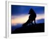 Arctic Fox (Vulpes Lagopus) Silhouetted at Twilight, Greenland, August 2009-Jensen-Framed Photographic Print