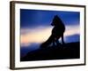 Arctic Fox (Vulpes Lagopus) Silhouetted at Twilight, Greenland, August 2009-Jensen-Framed Photographic Print