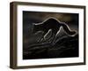 Arctic Fox (Vulpes Lagopus) Silhouetted While Jumping, Disko Bay, Greenland, August 2009-Jensen-Framed Photographic Print