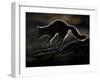 Arctic Fox (Vulpes Lagopus) Silhouetted While Jumping, Disko Bay, Greenland, August 2009-Jensen-Framed Photographic Print