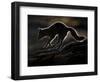 Arctic Fox (Vulpes Lagopus) Silhouetted While Jumping, Disko Bay, Greenland, August 2009-Jensen-Framed Photographic Print