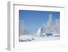 Arctic fox walking through snowy landscape, Siberia, Russia-Valeriy Maleev-Framed Photographic Print