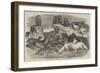 Arctic Foxes and Birds, Just Received by the Zoological Society-Harrison William Weir-Framed Giclee Print