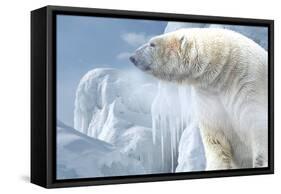 Arctic Frost-Gordon Semmens-Framed Stretched Canvas