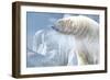 Arctic Frost-Gordon Semmens-Framed Photographic Print