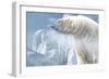 Arctic Frost-Gordon Semmens-Framed Photographic Print