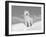 Arctic Grey Wolf in Snow, Idaho, USA-Tom Vezo-Framed Photographic Print