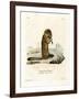 Arctic Ground Squirrel-null-Framed Giclee Print