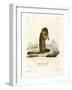 Arctic Ground Squirrel-null-Framed Giclee Print