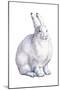 Arctic Hare (Lepus Arcticus), Mammals-Encyclopaedia Britannica-Mounted Poster