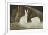 Arctic Hares, C.1829-33-Sir John Ross-Framed Giclee Print