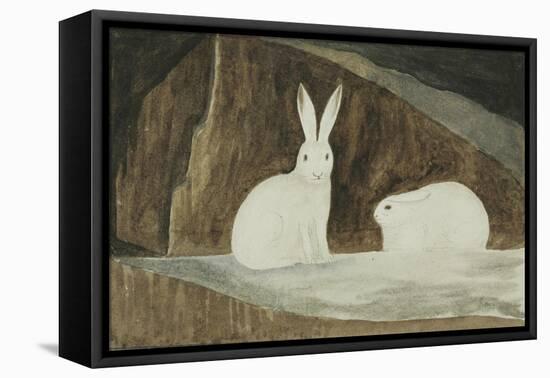Arctic Hares, C.1829-33-Sir John Ross-Framed Stretched Canvas