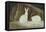 Arctic Hares, C.1829-33-Sir John Ross-Framed Stretched Canvas