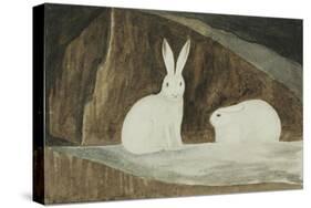 Arctic Hares, C.1829-33-Sir John Ross-Stretched Canvas