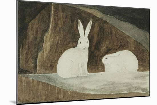 Arctic Hares, C.1829-33-Sir John Ross-Mounted Giclee Print