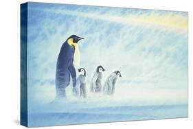 Arctic Home-Joh Naito-Stretched Canvas