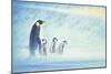 Arctic Home-Joh Naito-Mounted Premium Giclee Print