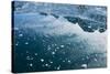 Arctic Ice, Svalbard-null-Stretched Canvas