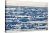 Arctic Ice, Svalbard-null-Stretched Canvas