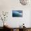 Arctic Ice, Svalbard-null-Photographic Print displayed on a wall