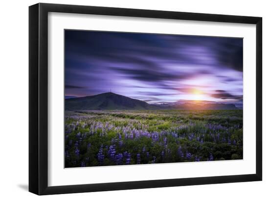 Premium Photographic Print, , large