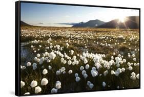 Arctic Landscape, Svalbard-null-Framed Stretched Canvas