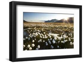 Arctic Landscape, Svalbard-null-Framed Premium Photographic Print